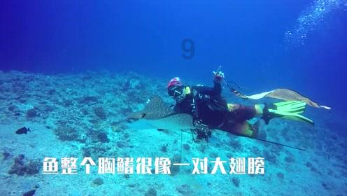 是不是活泼金属跟盐酸反应都会生锈？游戏画面